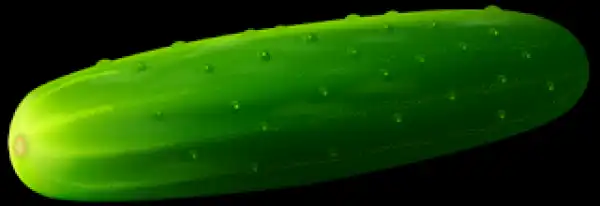 The colucumber and other popular food item nigreia ladies cexualised